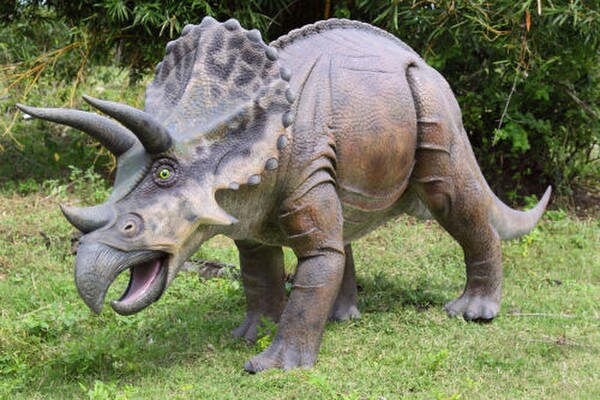 Grand Large Sized Triceratops Dinosaur Sculpture Replica Fiberglass